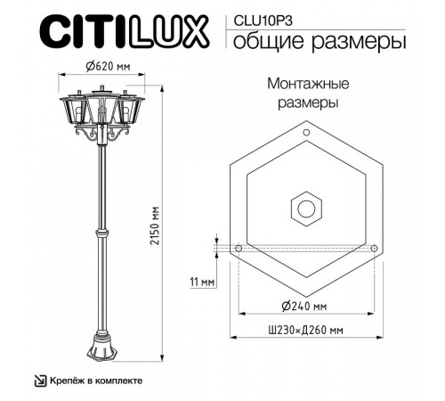 Фонарный столб Citilux FORTS CLU10P3