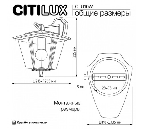 Светильник на штанге Citilux FORTS CLU10W