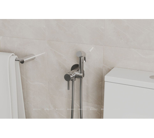 Смеситель с гигиеническим душем Bravat хром D9151CP-ENG