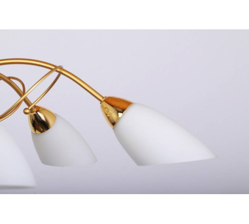 Подвесная люстра Doge Luce 169 169L06FO