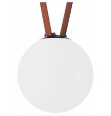 Накладной светильник Denkirs Belty Orb DK5554-BK