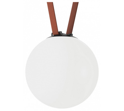 Накладной светильник Denkirs Belty Orb DK5554-BK