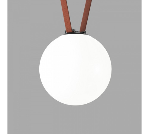 Накладной светильник Denkirs Belty Orb DK5554-BK