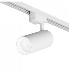 Светильник на штанге Denkirs  DK6454-WH