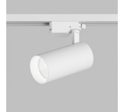 Светильник на штанге Denkirs DK6454-WH