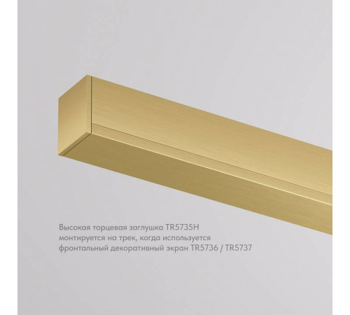 Заглушка для трека Denkirs SHINE BASE TR5735H-SB