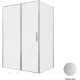 Душевое ограждение Allen Brau Priority 1400x1000 мм 8 мм серебро браш 3.31035.BA/3.31047.BA