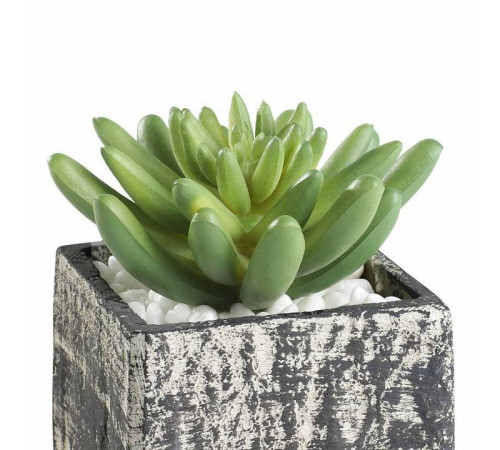 Растение в горшке Eglo Chitose 428007