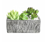 Растение в горшке Eglo Chitose 428009