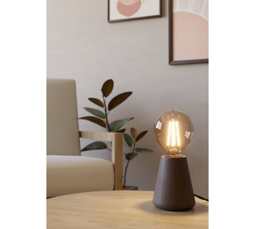 Настольная лампа декоративная Eglo ASBY 44015