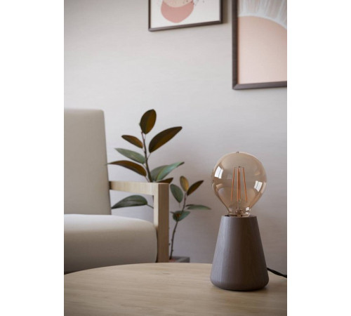 Настольная лампа декоративная Eglo ASBY 44015