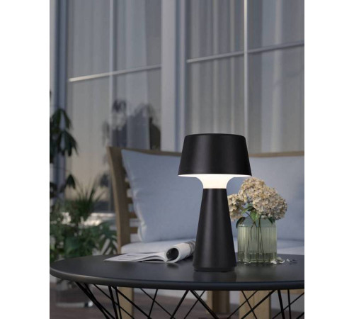 Настольная лампа декоративная Eglo ПРОМО HUESA 75796