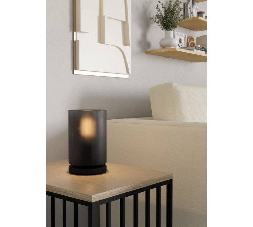 Настольная лампа декоративная Eglo COLOMERA 901164