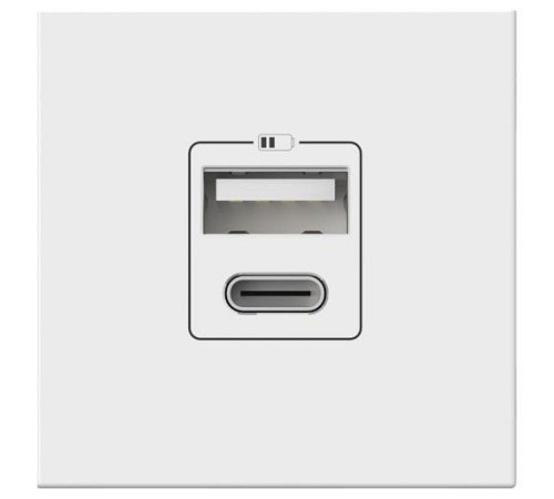 Розетка 2хUSB type A и C без рамки Elbi Eleсtriс Moda Vox 611-040232-335