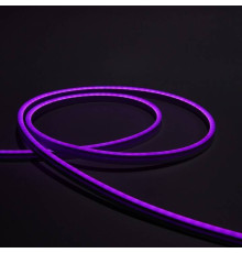 Шнур световой Eleganz  EL-N24-96PR