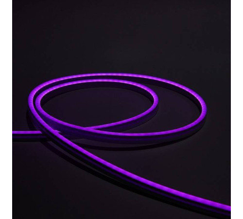 Шнур световой Eleganz EL-N24-96PR