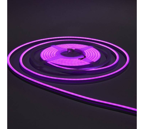 Шнур световой Eleganz EL-N24-96PR