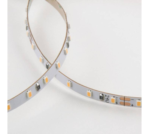 Лента светодиодная Elektrostandard 2116 24V 120Led 8W a056425