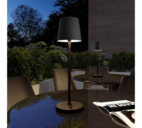 Настольная лампа декоративная Elektrostandard Mist a063970