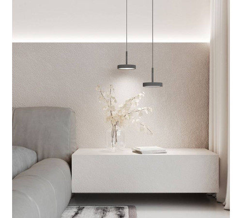 Подвесной светильник Elektrostandard Plate a065413