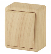 Выключатель одноклавишный Эра Эра Эксперт 11-1201-11