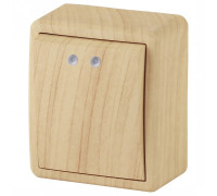 Выключатель одноклавишный с подсветкой Эра Эра Эксперт 11-1202-11