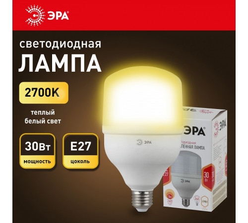 Лампа светодиодная Эра Стандарт LED POWER T100-30W-2700-E27