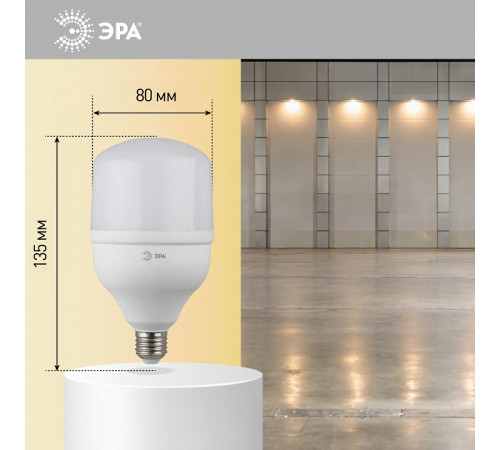 Лампа светодиодная Эра Стандарт LED POWER T100-30W-2700-E27