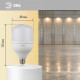 Лампа светодиодная Эра Стандарт LED POWER T100-30W-2700-E27