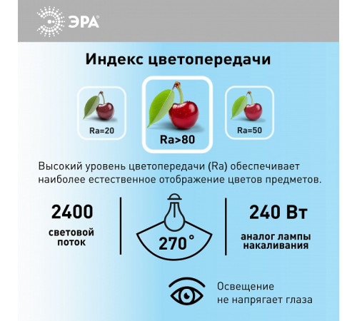 Лампа светодиодная Эра Стандарт LED POWER T100-30W-6500-E27