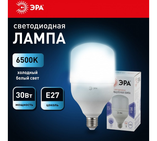 Лампа светодиодная Эра Стандарт LED POWER T100-30W-6500-E27