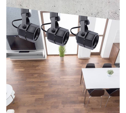 Светильник на штанге Эра TR9-GU10 BK