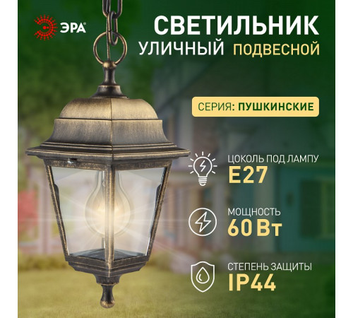 Подвесной светильник Эра НСУ 04-60-001 бронза