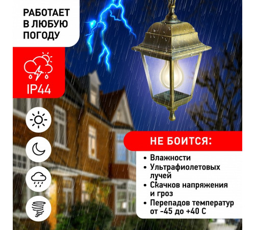 Подвесной светильник Эра НСУ 04-60-001 бронза