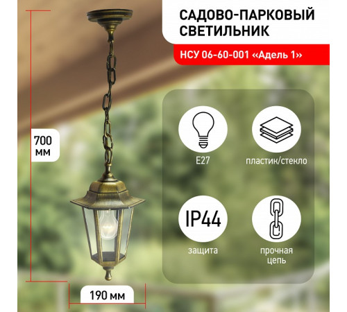 Подвесной светильник Эра НСУ 06-60-001 бронза