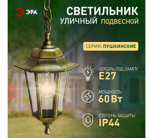 Подвесной светильник Эра НСУ 06-60-001 бронза