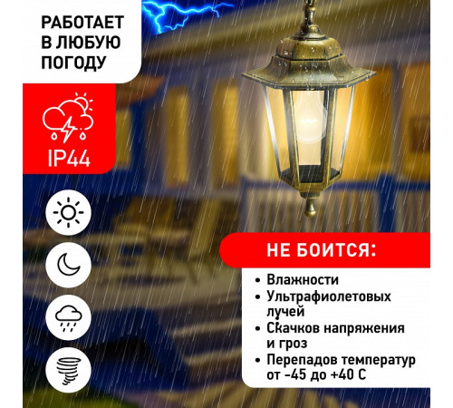 Подвесной светильник Эра НСУ 06-60-001 бронза