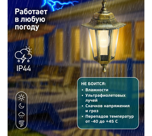 Подвесной светильник Эра НСУ 06-60-001 бронза