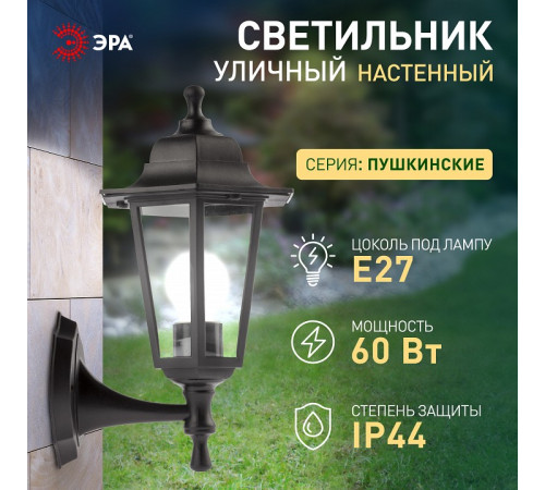 Светильник на штанге Эра НБУ 06-60-001 черный