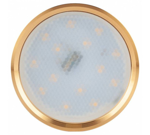 Накладной светильник Эра OL7 GX53 GD/CH Б0048532