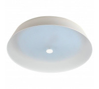 Накладной светильник Эра  SPB-6-80-RC Locus RGB