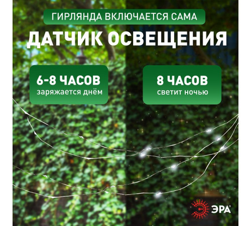 Гирлянда на солнечных батареях Эра ERASF22-17