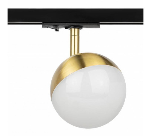 Светильник на штанге Эра TR42-GX53 BS