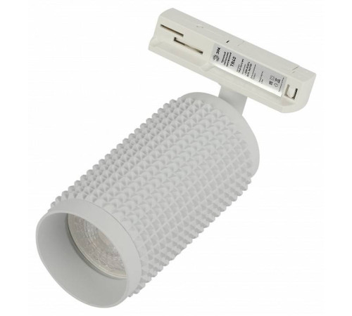 Светильник на штанге Эра TR40-GU10 WH