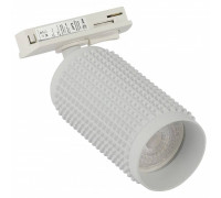 Светильник на штанге Эра  TR40-GU10 WH