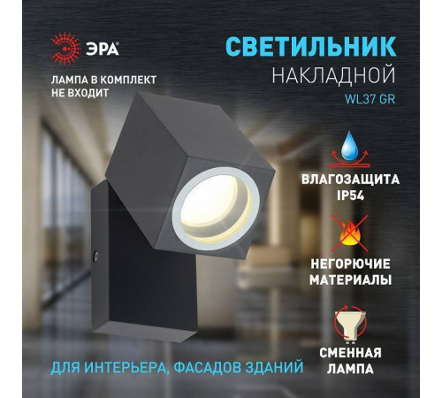 Светильник на штанге Эра WL37 GR Б0054409