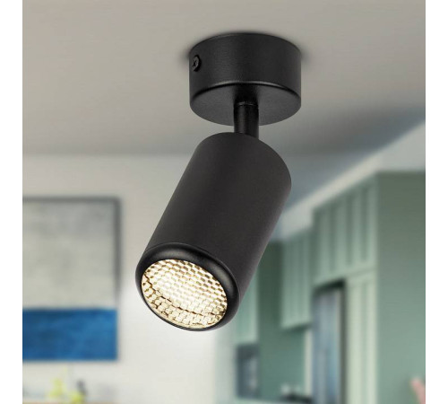 Спот Эра OL55 BK