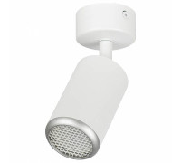 Спот Эра  OL55 WH/SL