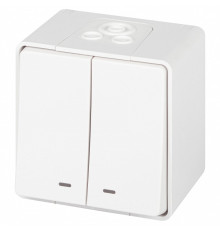 Выключатель двухклавишный с подсветкой Эра Эра Эксперт 11-1505-01