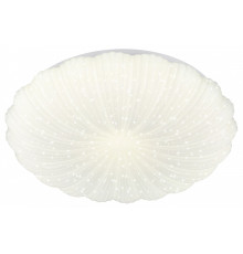 Накладной светильник Эра  SPB-6 Verona 48W-5K